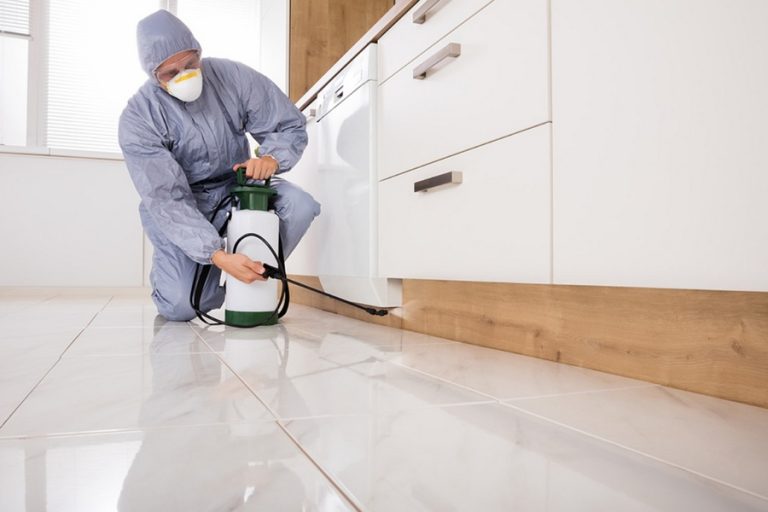 Useful Tips to Choose the Correct Cleaning Service Provider